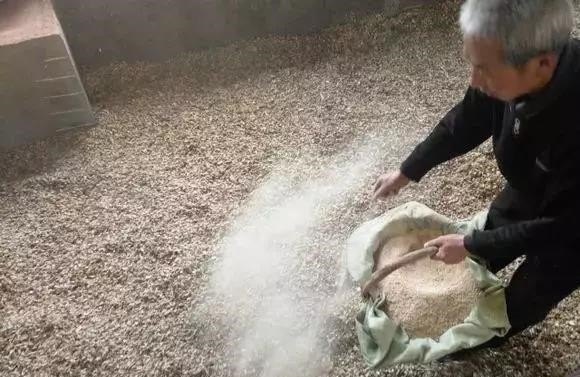 牛发酵床养殖方法 - 中国养殖网