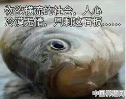 福州渔民捕获147斤野生黄瓜鱼价值百万，一夜暴富，这种鱼为什么那么值钱 - 中国养殖网