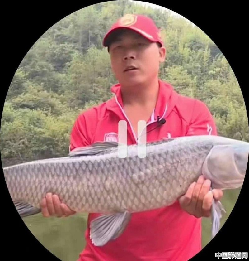 钓10斤到15斤的鱼用什么线组比较靠谱？ - 中国养殖网