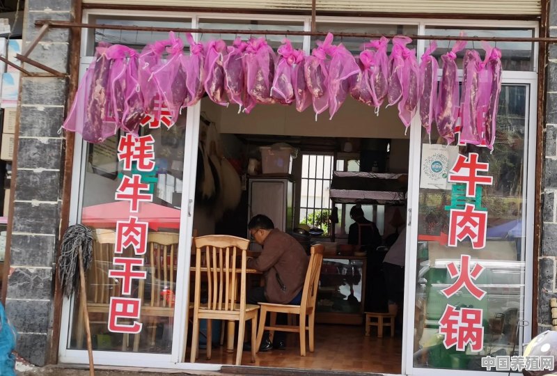 香格里拉独克宗古城里的牦牛肉是真的吗 - 中国养殖网