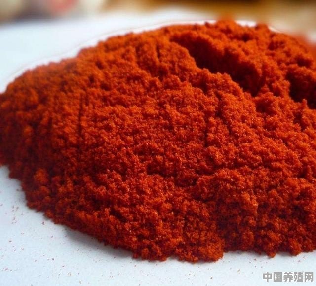红辣椒在养鸡中都有哪些作用 - 中国养殖网