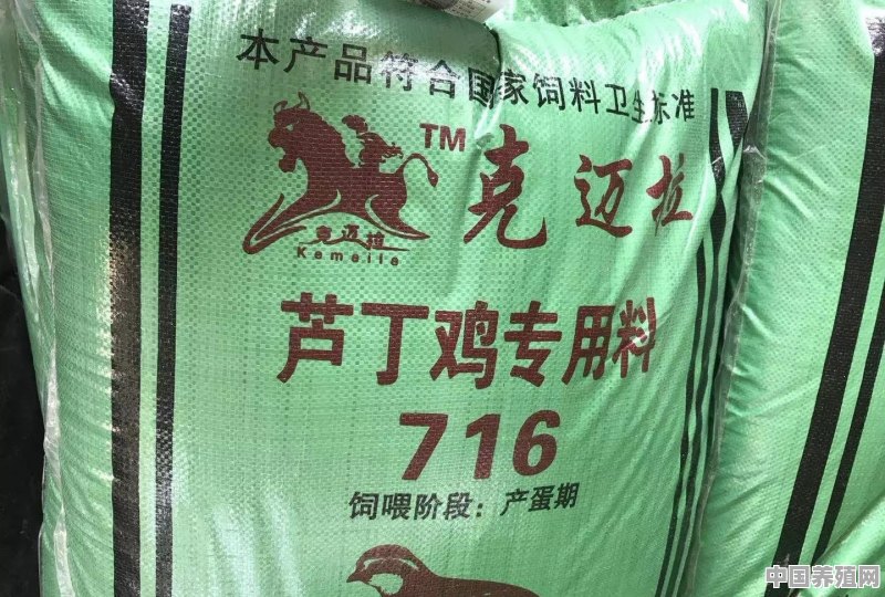 芦丁鸡的销路在哪里，养多了卖给谁 - 中国养殖网