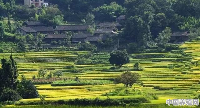 广西城市经济排名 - 中国养殖网