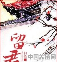 有哪些古风耽美小说值得推荐 - 中国养殖网