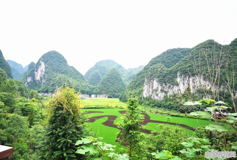 贵州旅游精品线路谁能介绍一下，谢谢 - 中国养殖网