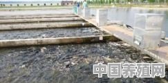 循环水流水养鱼塘怎么建 - 中国养殖网