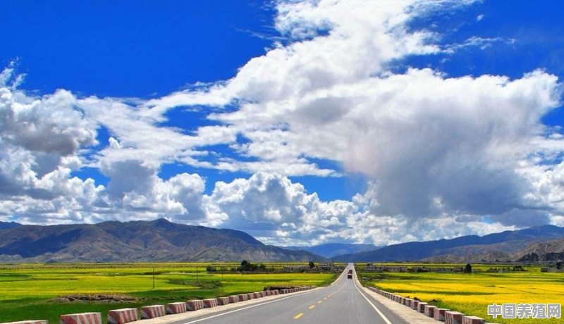 全国最长的国道是哪一条 - 中国养殖网