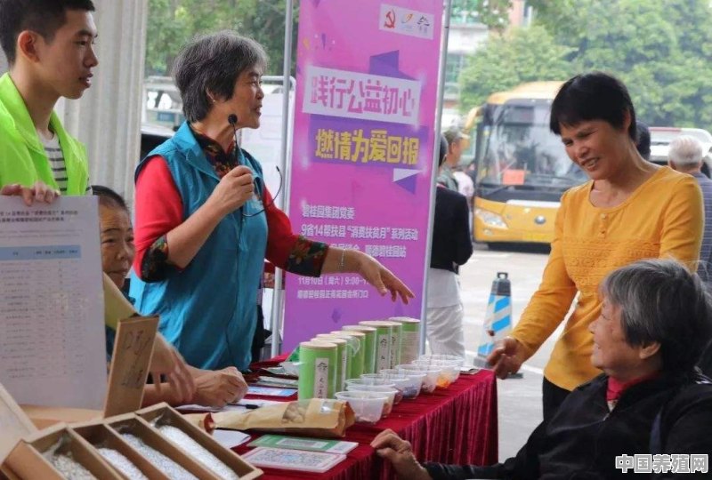 碧桂园今年的“消费扶贫月”有哪些特色活动和扶贫举措 - 中国养殖网