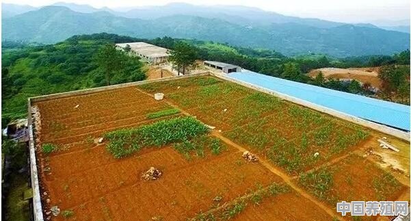 农村平房一到夏天就晒得特别热，如何改善 - 中国养殖网