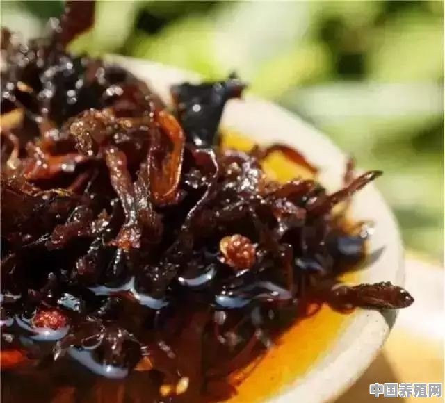 云南让你最难忘的美食是什么 - 中国养殖网