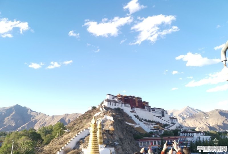 怎么去西藏旅游 - 中国养殖网