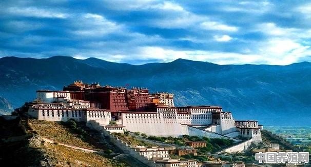 怎么去西藏旅游 - 中国养殖网