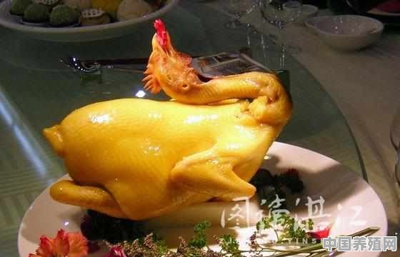 湛江鸡、文昌鸡、清远鸡，哪个肉质最好 - 中国养殖网