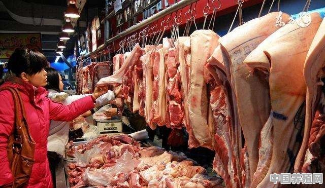 2021至2023年养猪的利润怎么样 - 中国养殖网