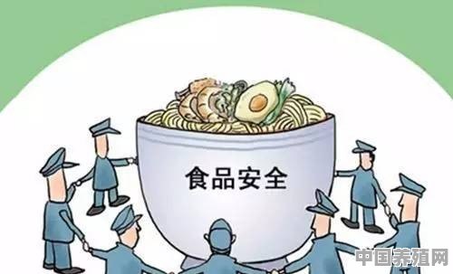 现在的土鸡、土鸡蛋真正就那么多吗？为什么市场上那么多 - 中国养殖网