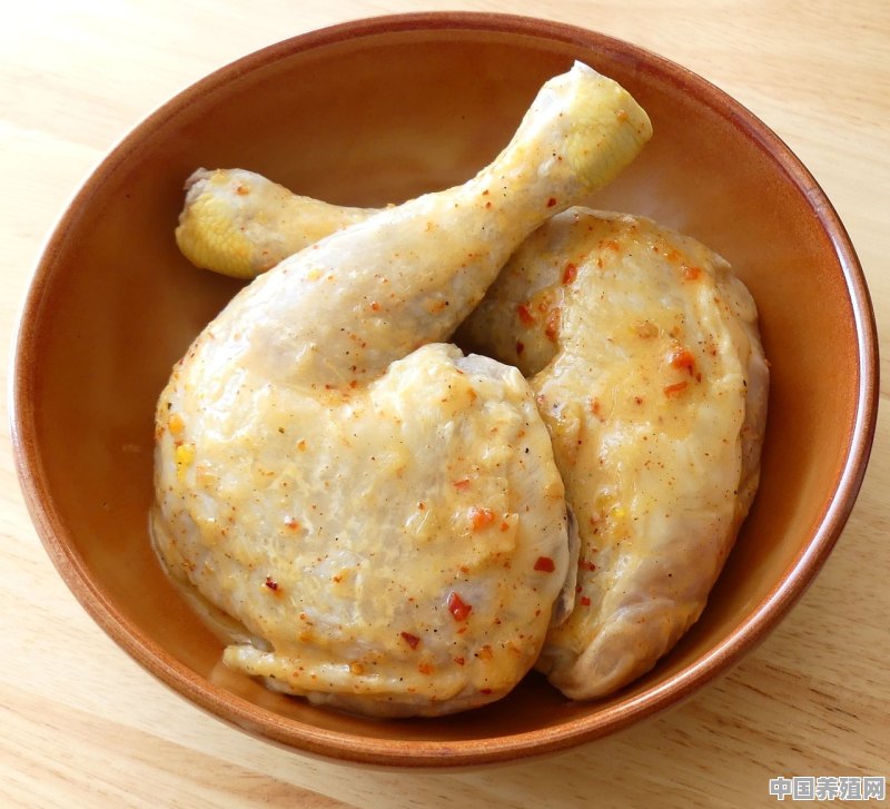养的鸡可以吃哪些青草 - 中国养殖网