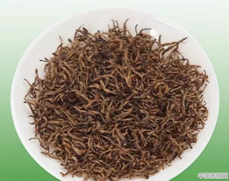 谁知道贵州的茶叶如何，哪种茶叶好喝 - 中国养殖网