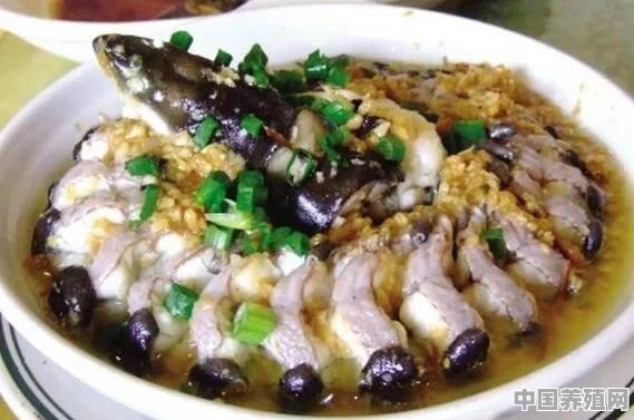 粤菜，盘龙鳝怎么做 - 中国养殖网
