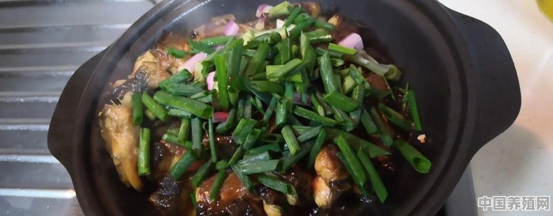 粤菜，盘龙鳝怎么做 - 中国养殖网