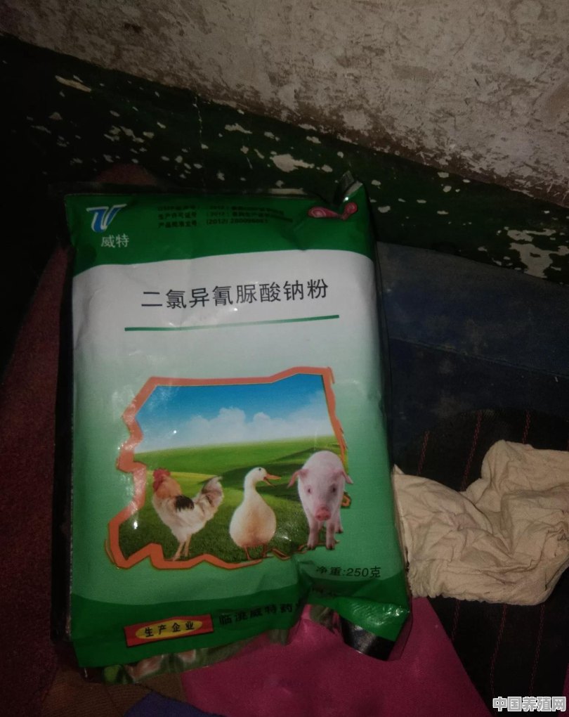养羊场用什么消毒剂比较好 - 中国养殖网