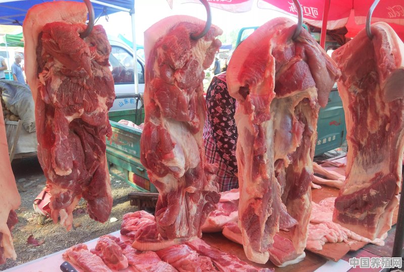 近日猪肉价格出现暴涨是怎么回事 - 中国养殖网