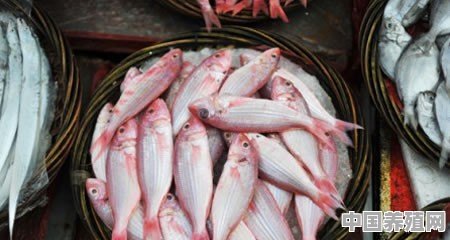 厦门特有的海鲜干货都有哪些 - 中国养殖网