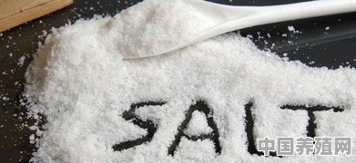 哪种盐比较好？湖盐、海盐和井矿盐相比，哪种更适合用于家常菜调味 - 中国养殖网