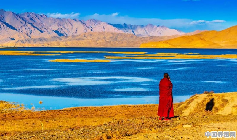 您去过西藏吗？有哪些好玩的地方 - 中国养殖网