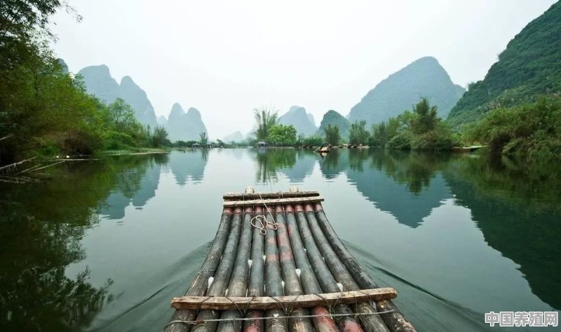 分享一下你家乡青山绿水好吗 - 中国养殖网