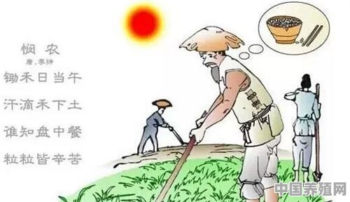 在农村养殖什么可以致富 - 中国养殖网