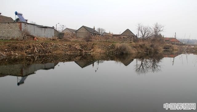村里的池塘，谁有权处置？可以私人承包吗 - 中国养殖网