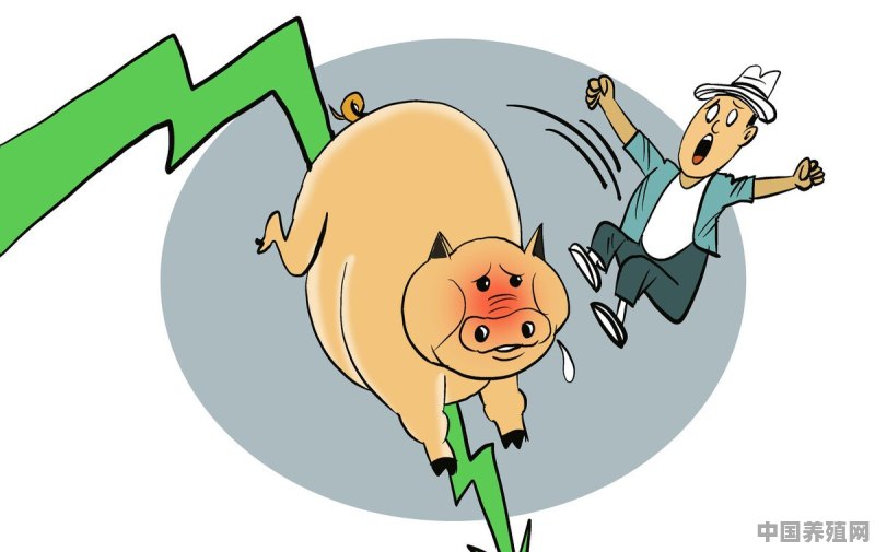 生猪价格大跌超50%，养殖户亏损严重，哪些因素蚕食养殖利润 - 中国养殖网