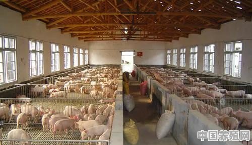 生猪价格大跌超50%，养殖户亏损严重，哪些因素蚕食养殖利润 - 中国养殖网