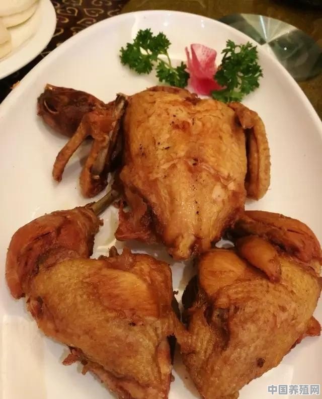 葫芦鸡为何敢号称长安第一味 - 中国养殖网