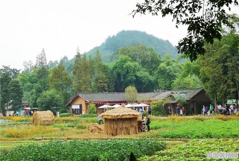 农村的风景照有吗，可以分享一下吗 - 中国养殖网