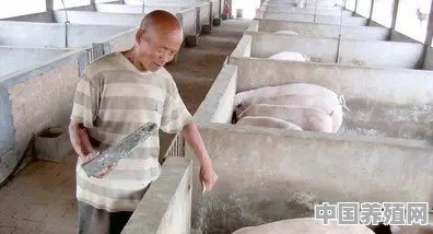 经历了2018年的低猪价，2019年，猪价大涨，你会补栏吗 - 中国养殖网