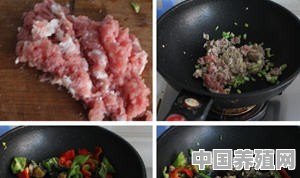 吃过一次肉末炒皮蛋，很好吃，不知道做法，谁能分享一下吗 - 中国养殖网