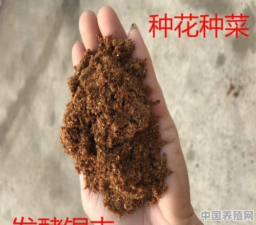 腐烂的松树可以养花吗 - 中国养殖网