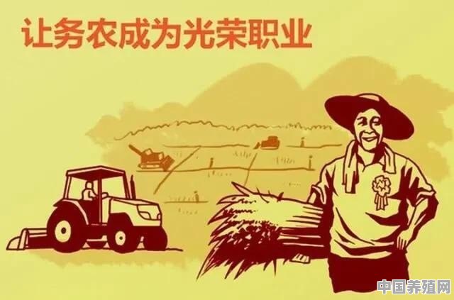农业经理人为何紧缺 - 中国养殖网