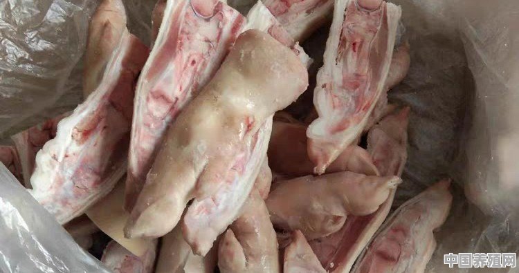 农村集市上的冷冻猪脚很便宜，一斤才卖8块钱，又大个，哪里来的 - 中国养殖网