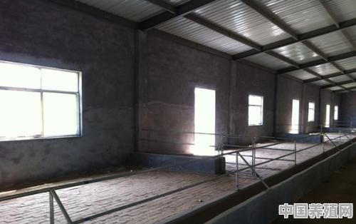 羊圈20只羊棚怎么设计好平地 - 中国养殖网