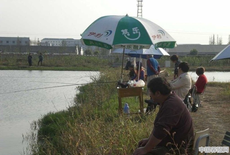 钓鱼人被驱赶，水库为什么禁止钓鱼，这究竟是合法的吗 - 中国养殖网