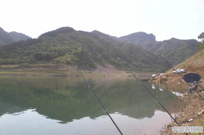 钓鱼人被驱赶，水库为什么禁止钓鱼，这究竟是合法的吗 - 中国养殖网