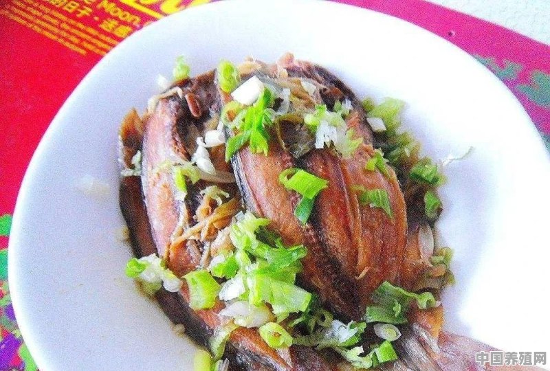 晾干的鱼片和干的小乌鱼片怎么做好吃 - 中国养殖网