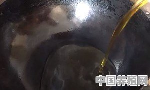 柴窝堡辣子鸡具体做法 - 中国养殖网