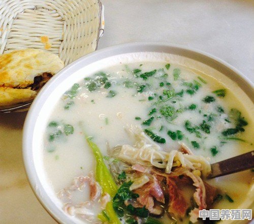 洛阳哪里的羊肉汤最正宗 - 中国养殖网