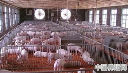我村里没有建设用地，想建个猪场养猪怎么办 - 中国养殖网