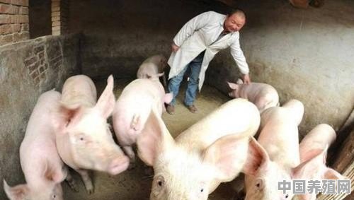 我村里没有建设用地，想建个猪场养猪怎么办 - 中国养殖网