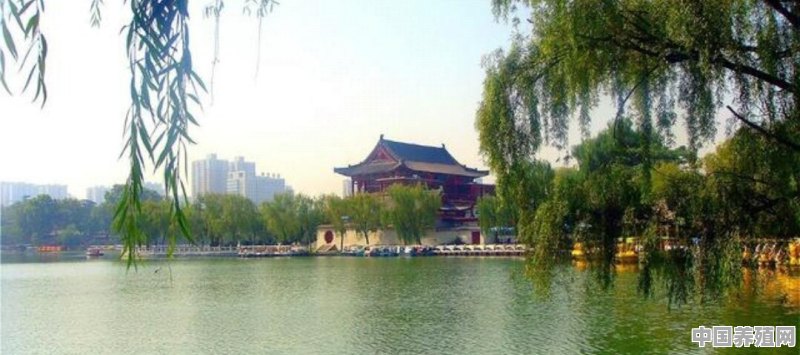 有哪些国内城市有城市湖泊 - 中国养殖网