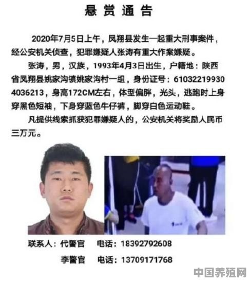 遇到类似陕西宝鸡市凤翔县705杀人事件，司机用什么办法才有可能逃生 - 中国养殖网